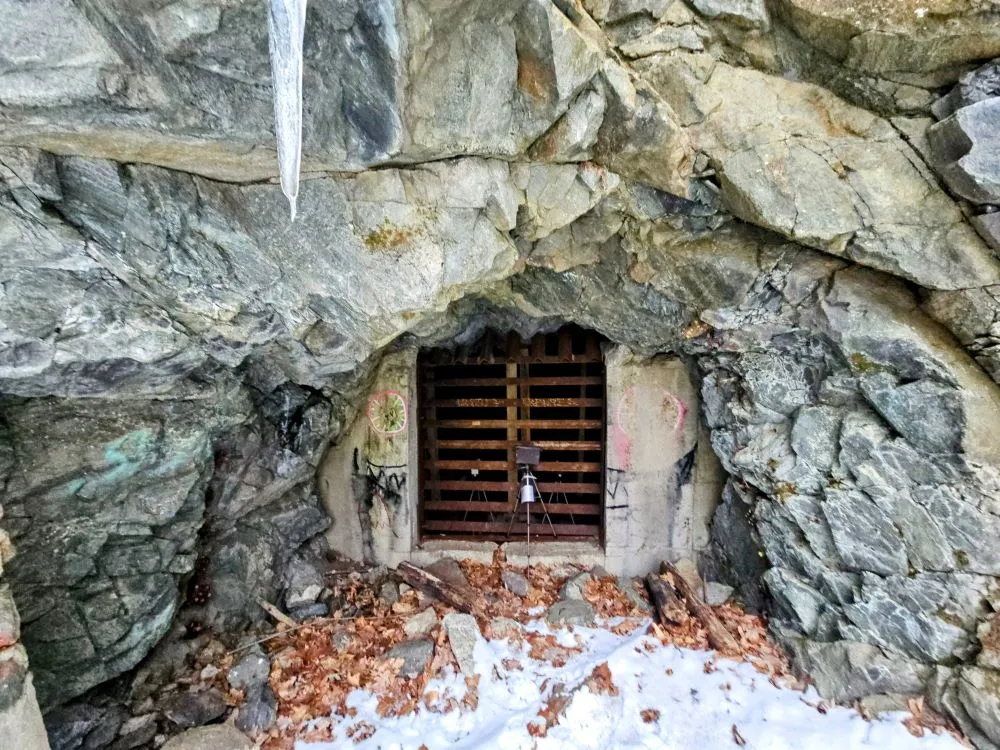 Cover Image of the Post